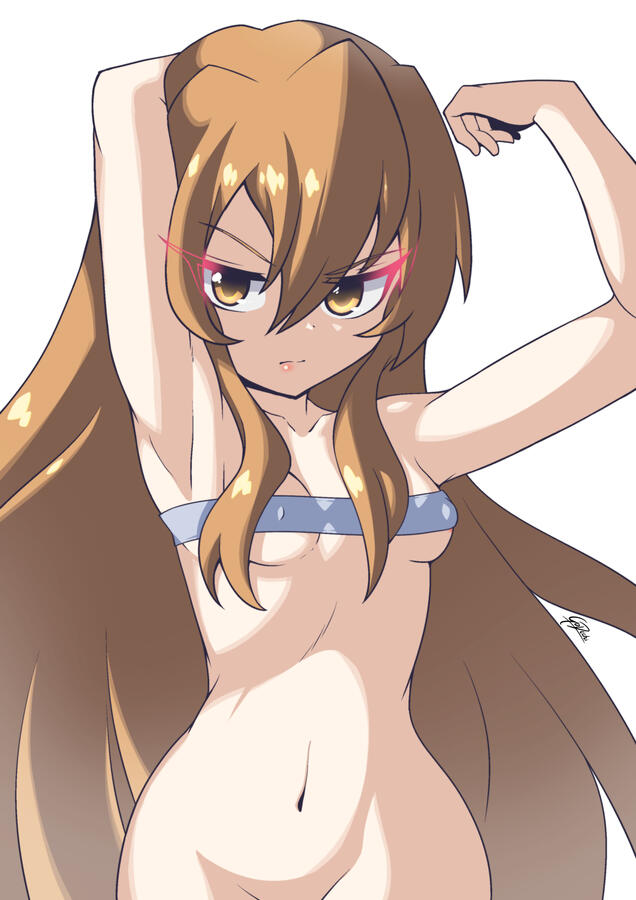 Toradora Toradora